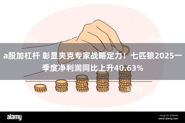 a股加杠杆 彰显夹克专家战略定力！七匹狼2025一季度净利润同比上升40.63%
