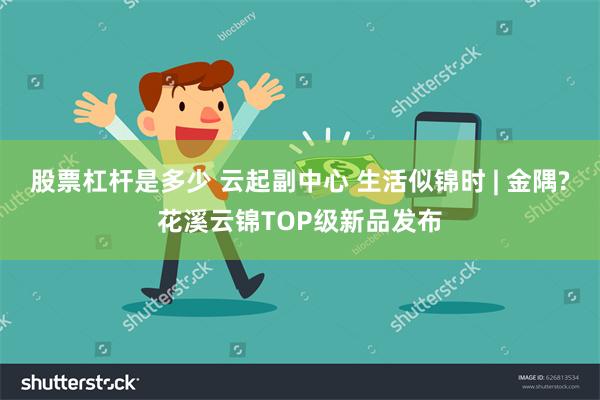 股票杠杆是多少 云起副中心 生活似锦时 | 金隅?花溪云锦TOP级新品发布
