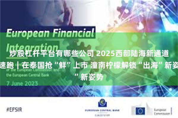 炒股杠杆平台有哪些公司 2025西部陆海新通道加速跑｜在泰国抢“鲜”上市 潼南柠檬解锁“出海”新姿势