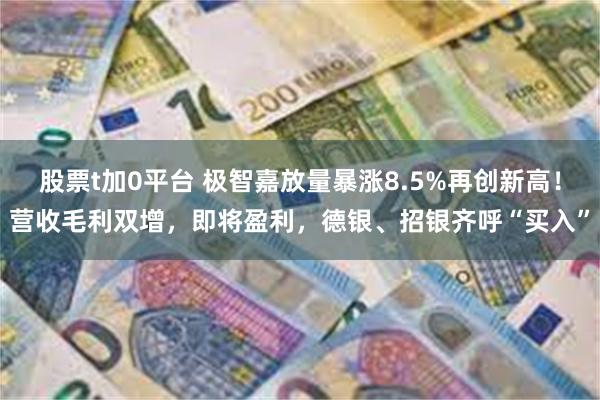 股票t加0平台 极智嘉放量暴涨8.5%再创新高！营收毛利双增，即将盈利，德银、招银齐呼“买入”